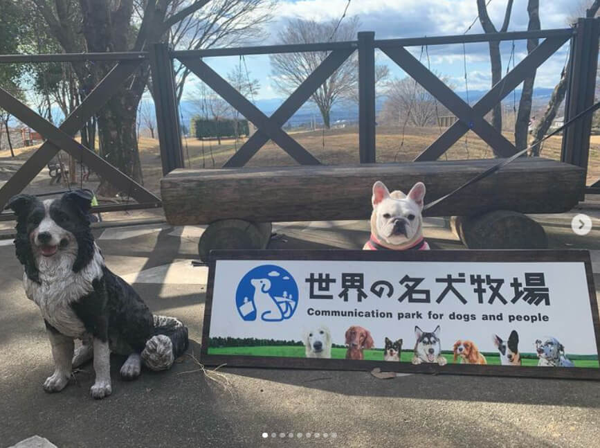 世界の名犬牧場/群馬・前橋市・ドッグカフェ＆ドッグランその他